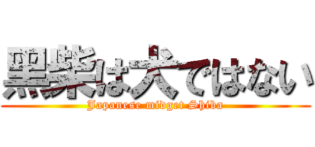 黑柴は犬ではない (Japanese midget Shiba)