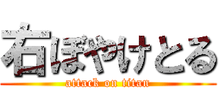 右ぼやけとる (attack on titan)