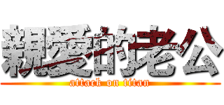 親愛的老公 (attack on titan)