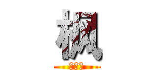 枫 (十三少)