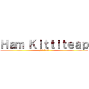 Ｈａｍ Ｋｉｔｔｉｔｅａｐ (FC Levi)