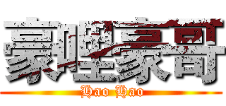 豪哩豪哥 ( Hao Hao)
