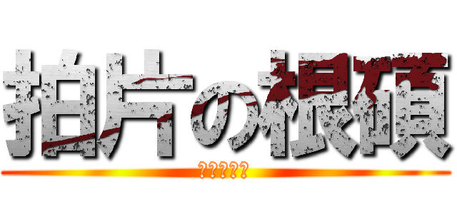 拍片の根碩 (進食の昌珉)