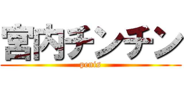 宮内チンチン (penis)
