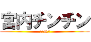 宮内チンチン (penis)