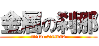 金属の刹那 (metal setsuna)