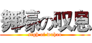 舞壕の叹息 (sigh of wuhao)