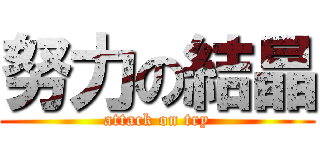 努力の結晶 (attack on try)