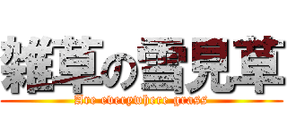 雑草の雪見草 (Are everywhere grass)