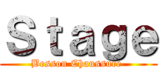 Ｓｔａｇｅ (Besson Chaussure )