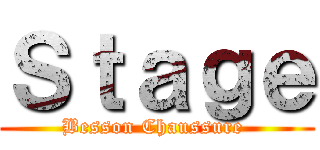 Ｓｔａｇｅ (Besson Chaussure )