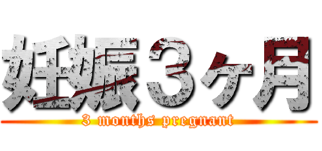 妊娠３ヶ月 (3 months pregnant)