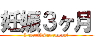 妊娠３ヶ月 (3 months pregnant)