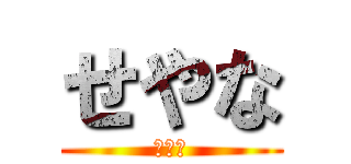 せやな (パンツ)