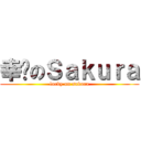 幸运のＳａｋｕｒａ (lucky on sakura)