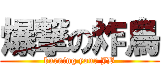 爆撃の炸鳥 (burning your JB)