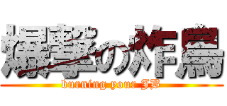爆撃の炸鳥 (burning your JB)