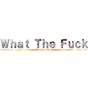 Ｗｈａｔ Ｔｈｅ Ｆｕｃｋ (Handsome Boy)