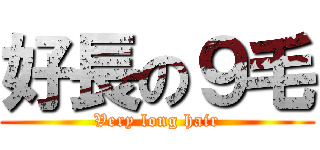 好長の９毛 (Very long hair)