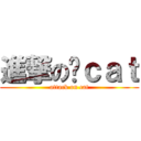 進撃の喵ｃａｔ (attack on cat)