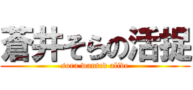 蒼井そらの活捉 (sora wanted alive)