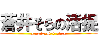 蒼井そらの活捉 (sora wanted alive)