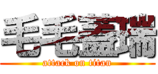 毛毛蓋瑞 (attack on titan)