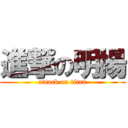 進撃の明揚 (attack on titan)