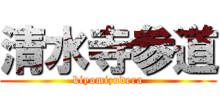 清水寺参道 (kiyomizudera)