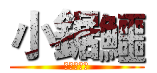 小鋸鱷 (花落知多少)