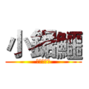 小鋸鱷 (花落知多少)