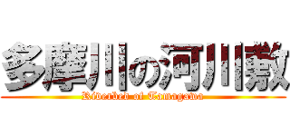 多摩川の河川敷 (Riverbed of Tamagawa)