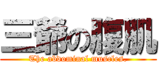 三爺の腹肌 (The abdominal muscles.)