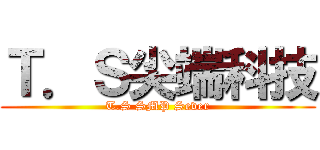 Ｔ．Ｓ尖端科技 (T.S SMP Sever)