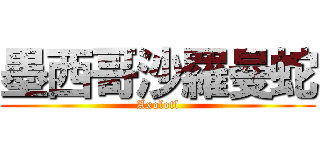 墨西哥沙羅曼蛇 (Axolotl)