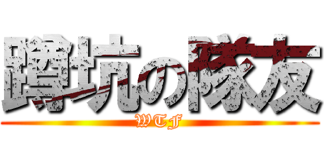 蹲坑の隊友 (WTF)