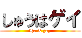 しゅうはゲイ (He is gay)