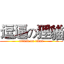 逗逼の狸貓 (attack on titan)
