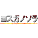 ヨスガノソラ (Yosuga no Sora)