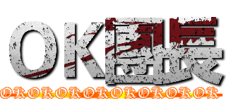 ＯＫ團長 (OKOKOKOKOKOKOKOK)