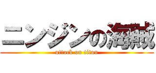 ニンジンの海賊 (attack on titan)