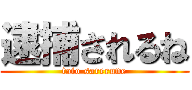 逮捕されるね (taio sarerune)