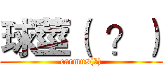 球莖（  ？） (carmus(?))