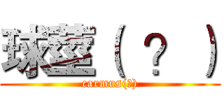 球莖（  ？） (carmus(?))