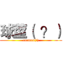 球莖（  ？） (carmus(?))