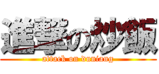 進撃の炒飯 (attack on duniang)