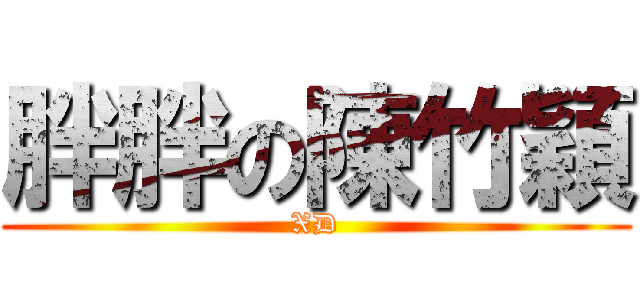 胖胖の陳竹穎 (XD)