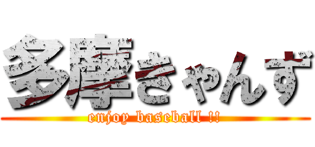 多摩きゃんず (enjoy baseball !!)