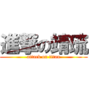 進撃の靖琉 (attack on titan)
