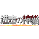 进击の神貓 (attack on titan)